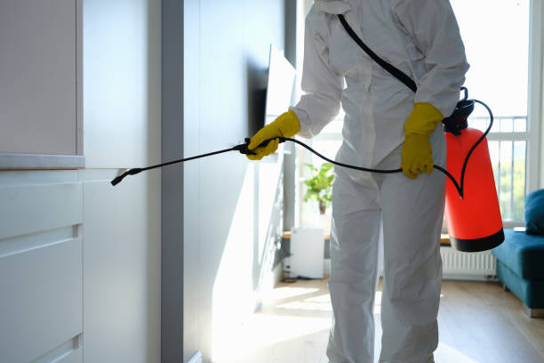 Best Commercial Pest Control  in Medpolis, IA